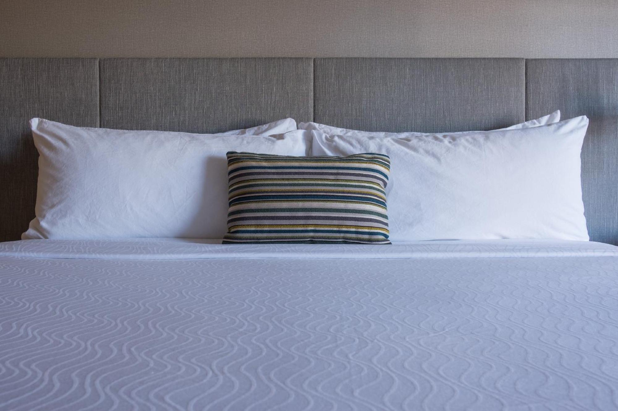 Hotel Indigo Napa Valley By Ihg Buitenkant foto